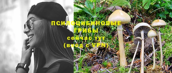амф Алексеевка
