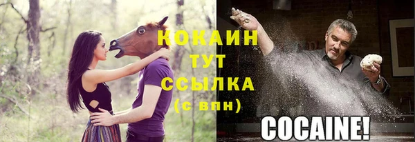 крисы Алзамай