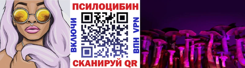 Псилоцибиновые грибы Magic Shrooms  Качканар 